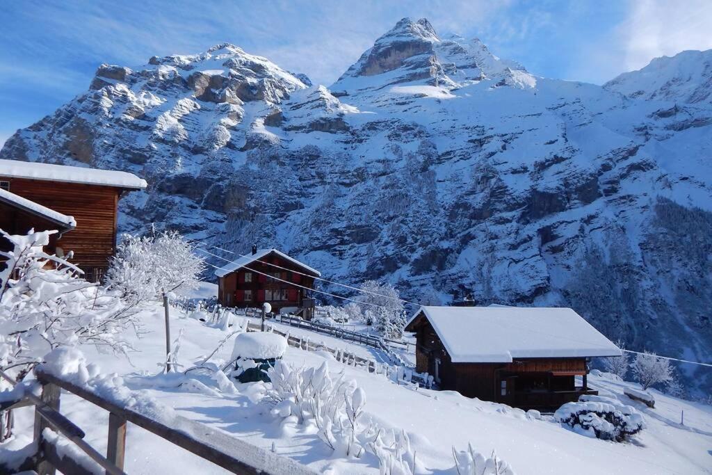 Olle And Maria'S B&B- Apartment Gimmelwald Exterior photo