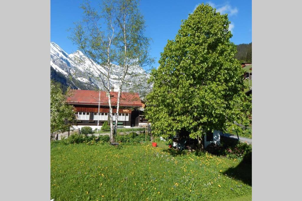 Olle And Maria'S B&B- Apartment Gimmelwald Exterior photo