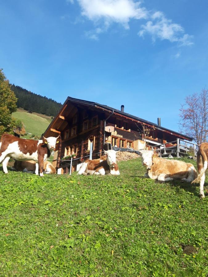 Olle And Maria'S B&B- Apartment Gimmelwald Exterior photo